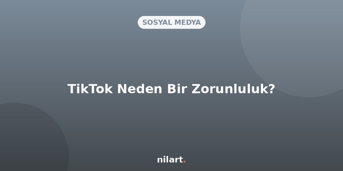 TikTok B2C Markaları İçin Neden Bir Zorunluluk Haline Geldi?